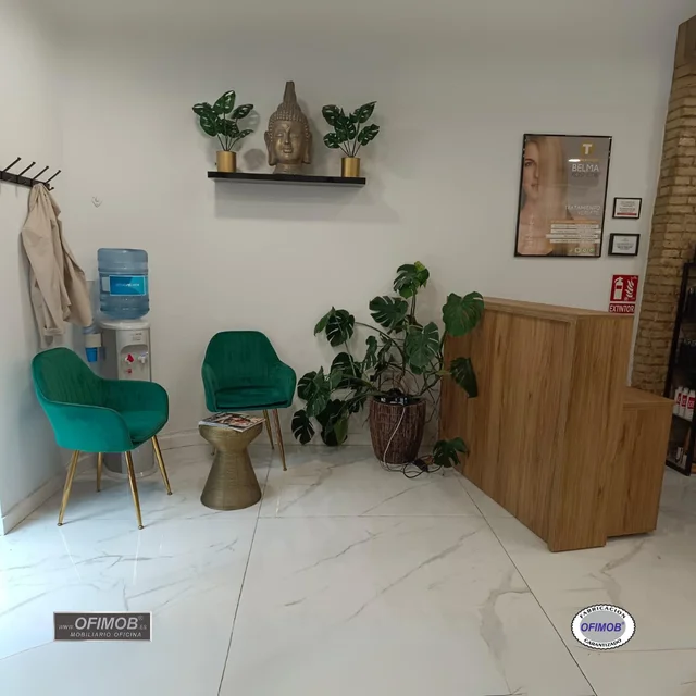Mostrador - Diseño 10 - Imagen 3